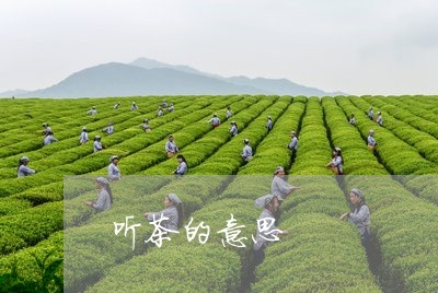 听茶的意思/2023090257160