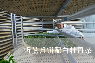 听蓝月饼配白牡丹茶/2023081312837