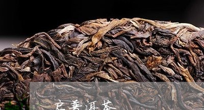 启普洱茶/2023090128359