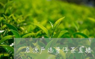 启源严选普洱茶直播/2023120502051