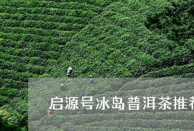 启源号冰岛普洱茶推荐/2023082975927