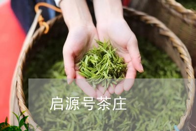 启源号茶庄/2023090636161