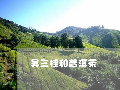 吴三桂和普洱茶/2023120334027