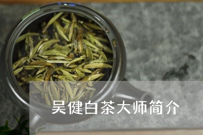 吴健白茶大师简介/2023061316059