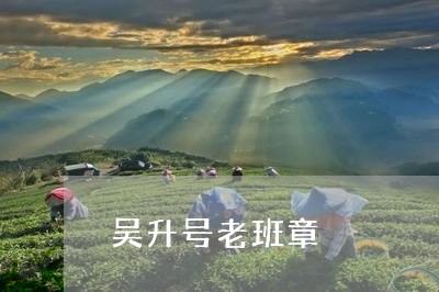 吴升号老班章/2023090715047