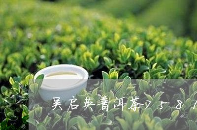 吴启英普洱茶7581/2023080229483