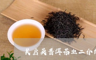 吴启英普洱茶虫二介绍/2023092682603