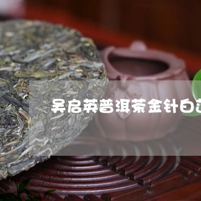 吴启英普洱茶金针白莲/2023072481604