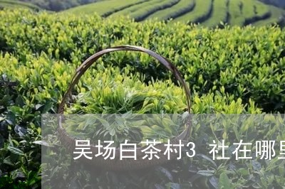 吴场白茶村3社在哪里/2023092796149