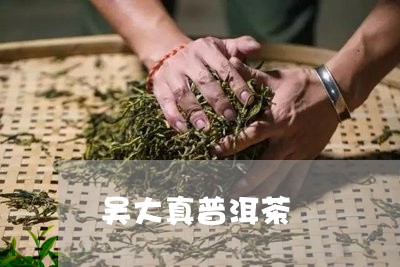 吴大真普洱茶/2023042660015