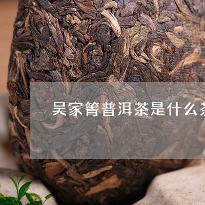 吴家箐普洱茶是什么茶/2023073178168