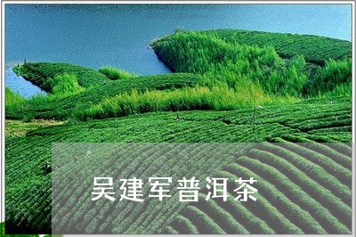 吴建军普洱茶/2023042724511