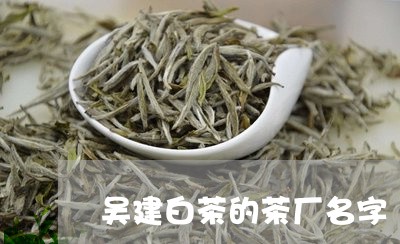 吴建白茶的茶厂名字/2023071696370