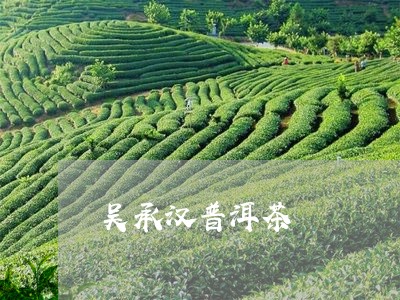 吴承汉普洱茶/2023112622683