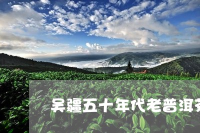 吴疆五十年代老普洱茶/2023061460514