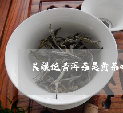 吴疆说普洱茶是黄茶吗/2023062138485