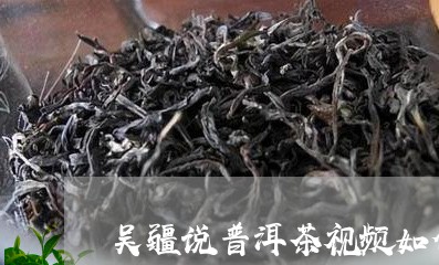 吴疆说普洱茶视频如何/2023062484827