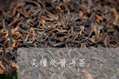 吴缰说普洱茶/2023042802774