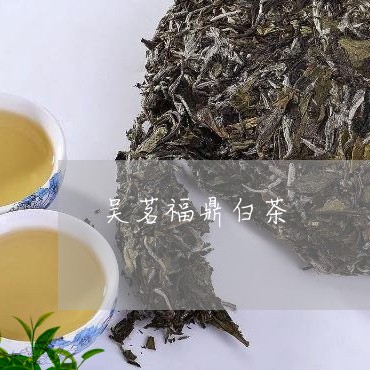 吴茗福鼎白茶/2023082639573