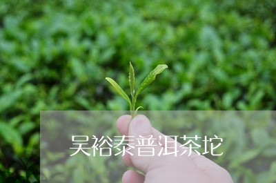 吴裕泰普洱茶坨/2023121561694