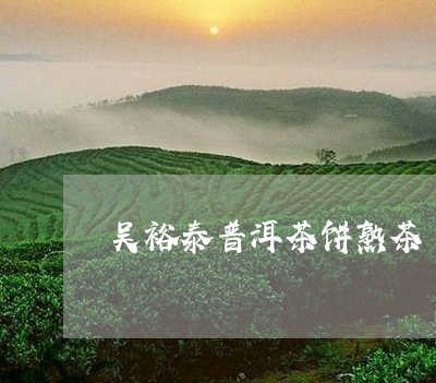 吴裕泰普洱茶饼熟茶/2023062327361