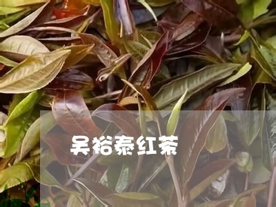 吴裕泰红茶/2023090236240