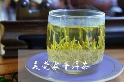 吴觉农普洱茶/2023042978108