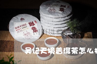 吴记天境普洱茶怎么样/2023120671693