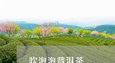 吹泡泡普洱茶/2023112614896