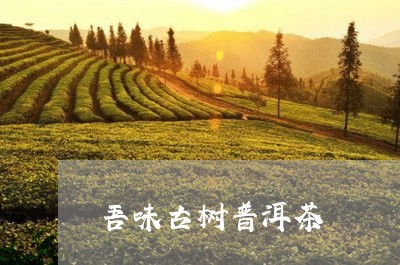 吾味古树普洱茶/2023112645948