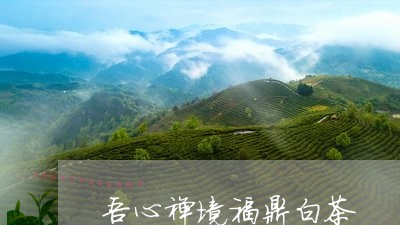 吾心禅境福鼎白茶/2023061364827