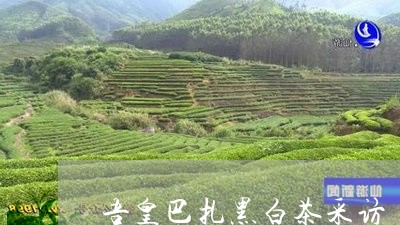 吾皇巴扎黑白茶采访/2023071684927