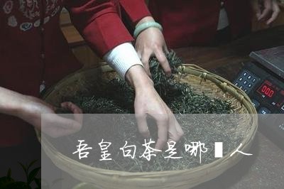 吾皇白茶是哪裡人/2023061352705