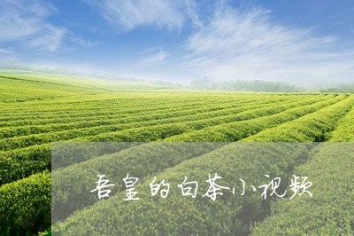 吾皇的白茶小视频/2023061350736