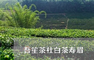 吾笙茶社白茶寿眉/2023061397161