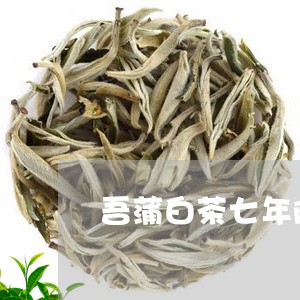 吾蒲白茶七年陈白牡丹/2023082516260