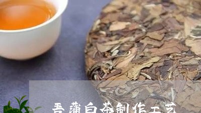 吾蒲白茶制作工艺/2023061377383