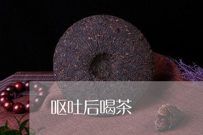 呕吐后喝茶/2023090208179