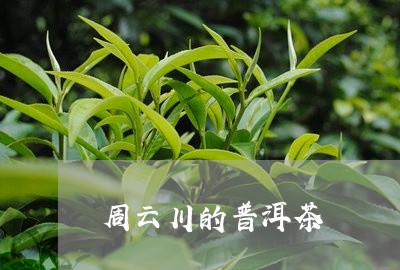 周云川的普洱茶/2023081530492