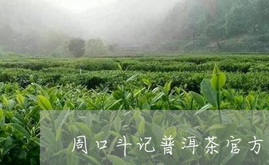 周口斗记普洱茶官方旗舰店/2023081572804