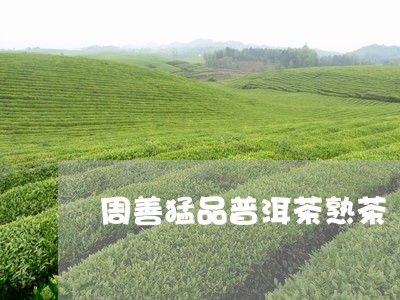 周善猛品普洱茶熟茶/2023082679804