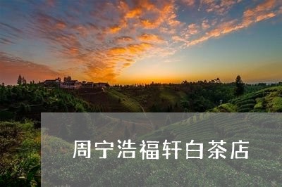 周宁浩福轩白茶店/2023061337270