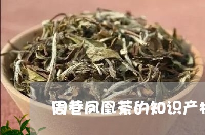 周巷凤凰茶的知识产权/2023071562706