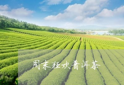 周末狂欢普洱茶/2023112561681