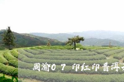 周渝07印红印普洱茶/2023061711696