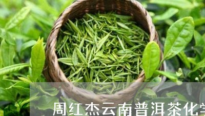 周红杰云南普洱茶化学/2023062247270