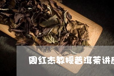 周红杰教授普洱茶讲座/2023061802703