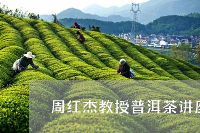 周红杰教授普洱茶讲座/2023092966361