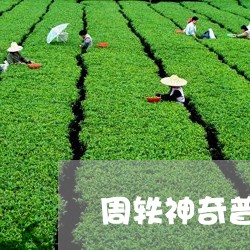 周轶神奇普洱茶18/2023112660718