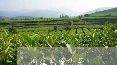 周道明普洱茶/2023042617203